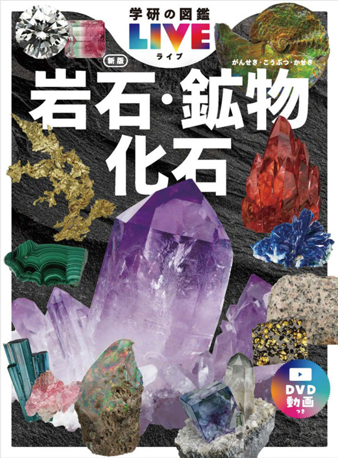 岩石・鉱物・化石　新版