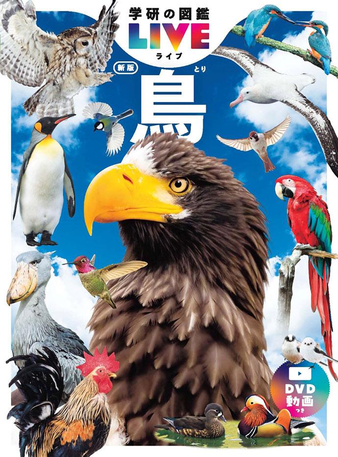 鳥　新版
