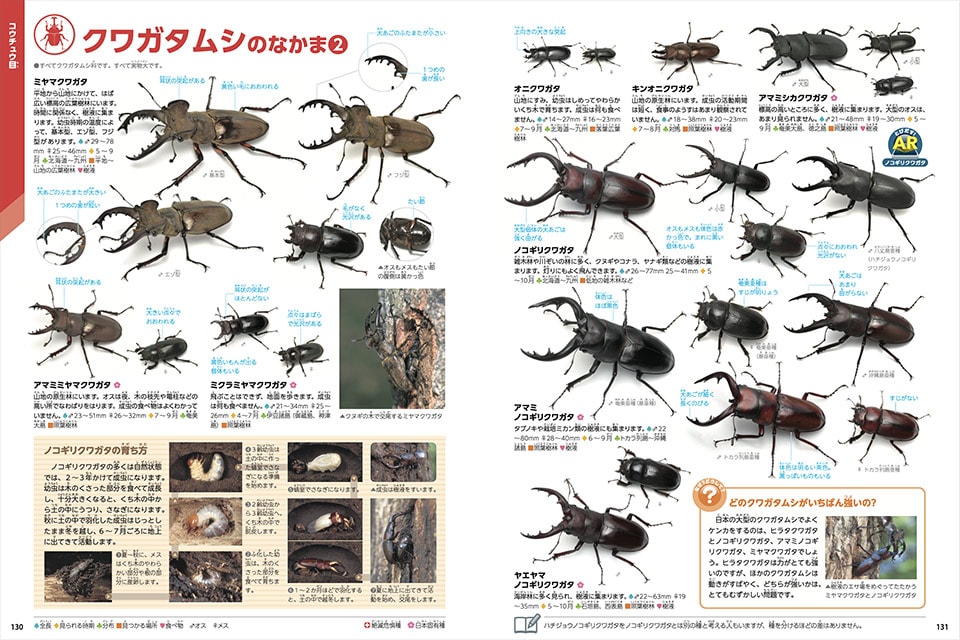 『昆虫 新版』全2800種“生きた”姿で撮り下ろし。
