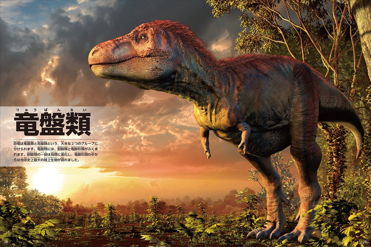 2022新作モデル 学研の図鑑LIVE 新版 恐竜 危険生物 DVDのみ