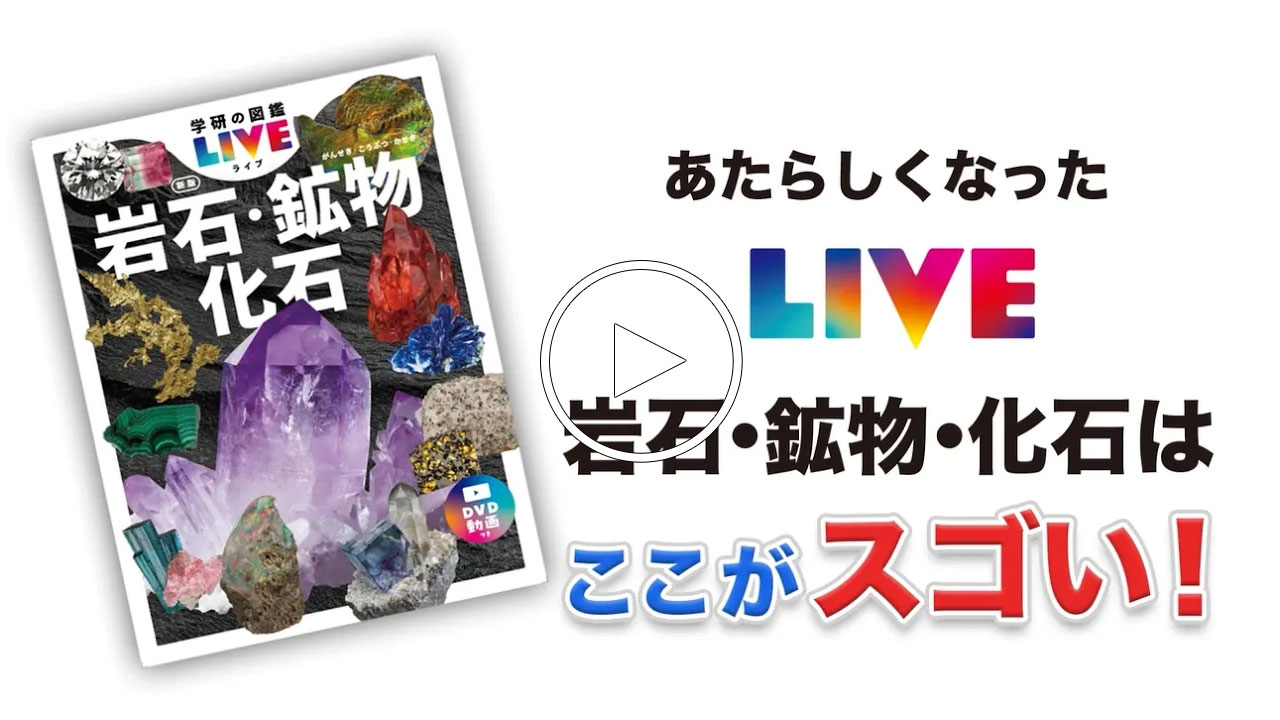 動画をのぞいてみよう