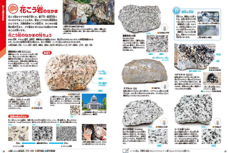 収録種数は類書中No.1の約850種以上！