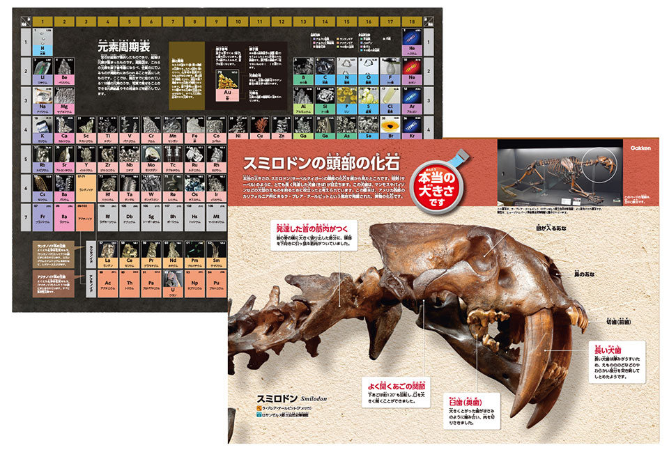 特典充実！（太陽系の惑星/本当の大きさ隕石ポスター、AR、DVD+動画つき）