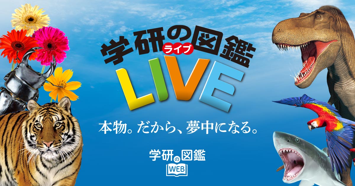 植物｜学研の図鑑LIVE｜学研の図鑑（Gakken）