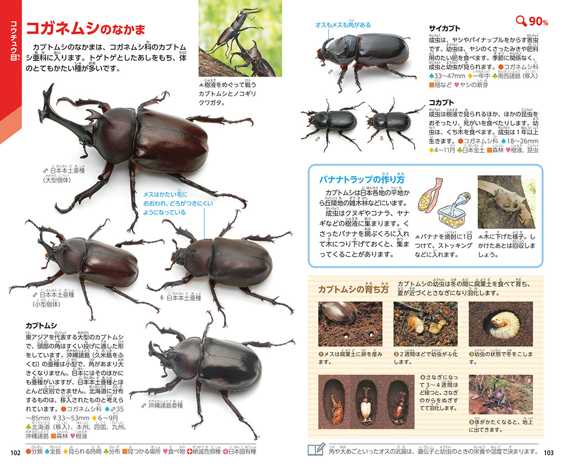 学研の図鑑ポケット｜学研の図鑑（Gakken）