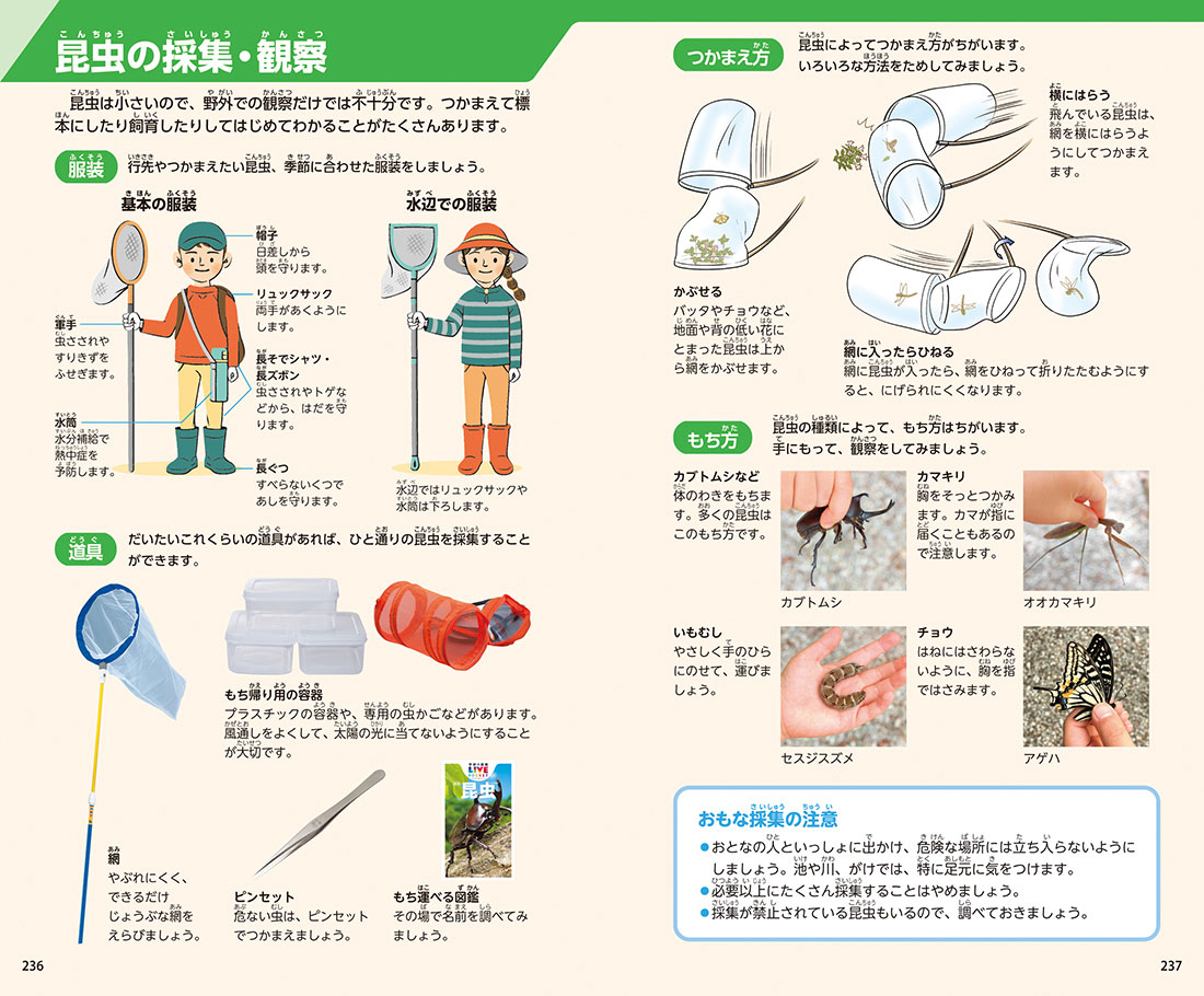 学研の図鑑ポケット｜学研の図鑑（Gakken）