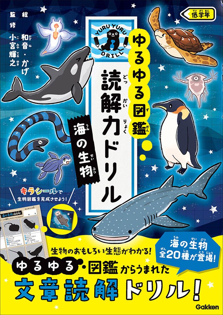 海の生物 低学年