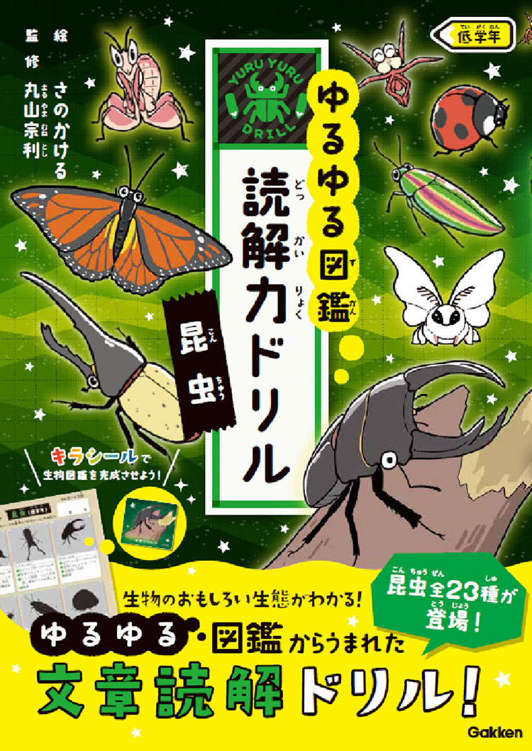昆虫 低学年