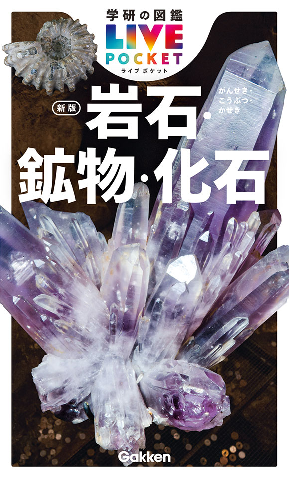 岩石・鉱物・化石　新版