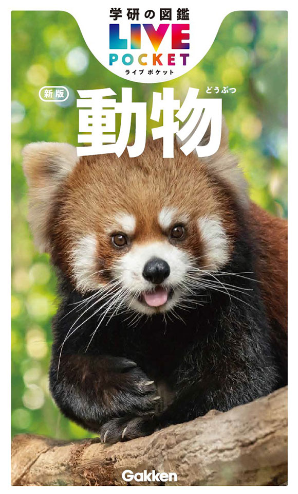 動物　新版