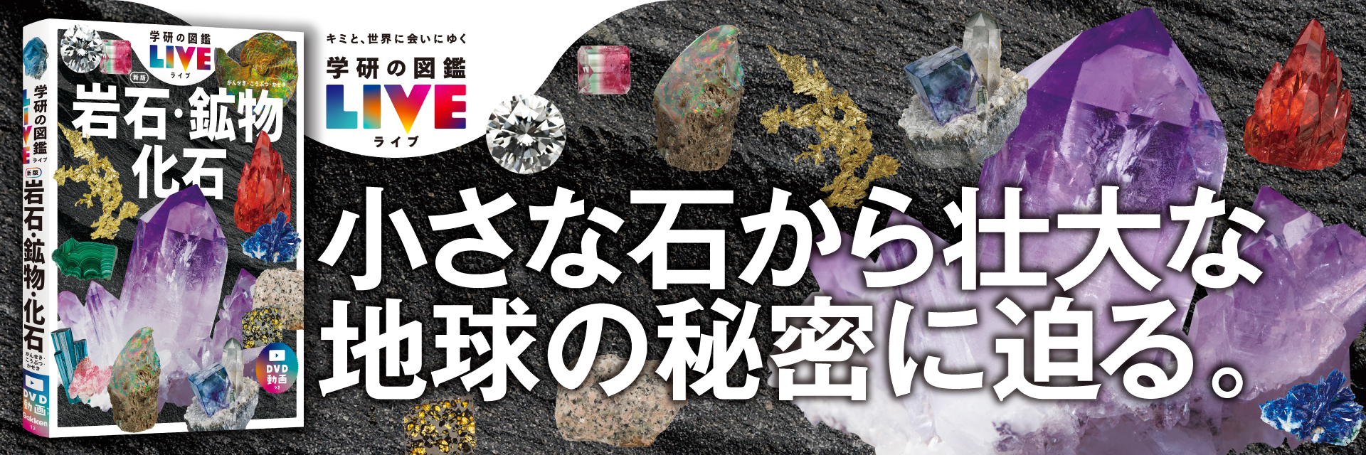 岩石・鉱物・化石