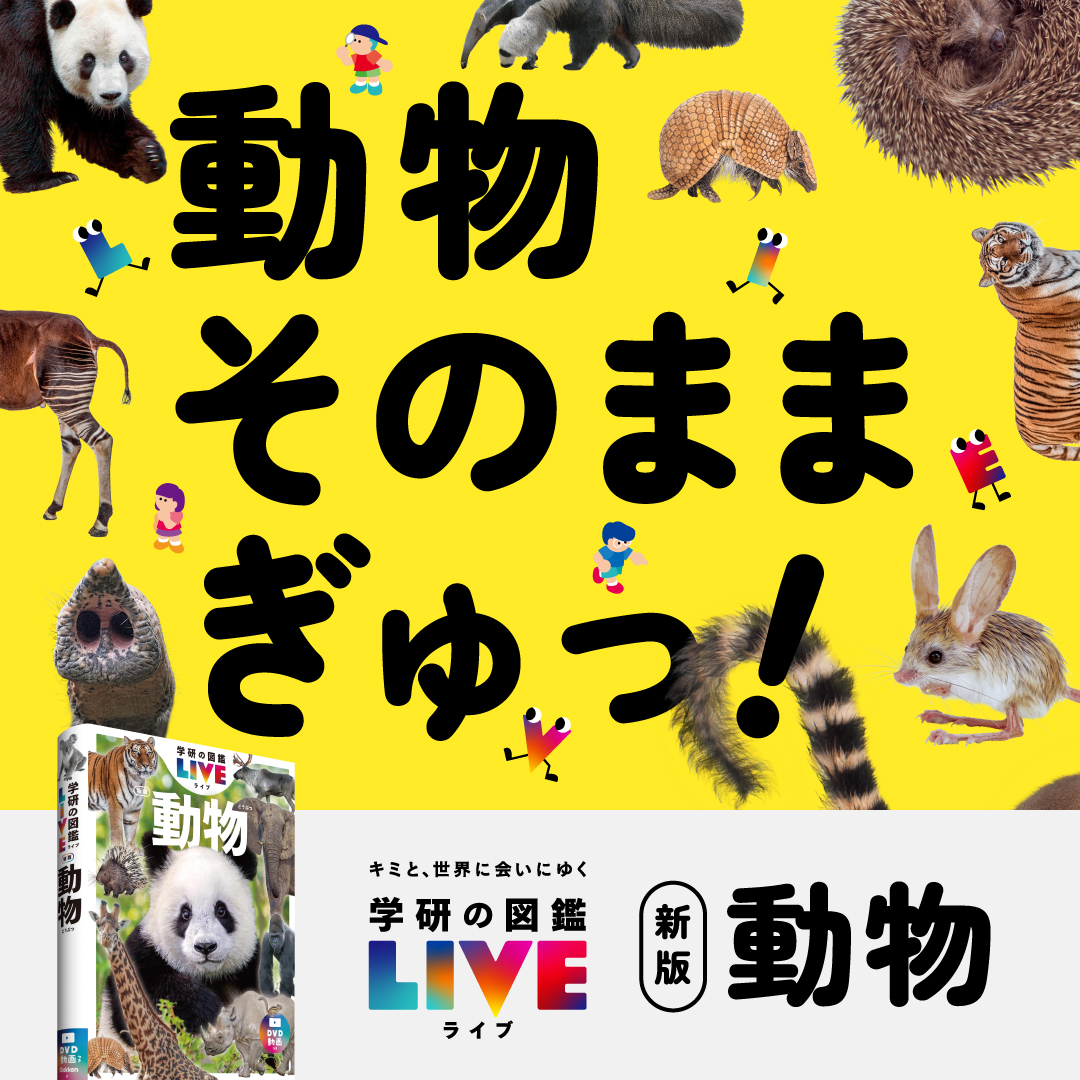 状態は良いです１０巻セットです図鑑　学研